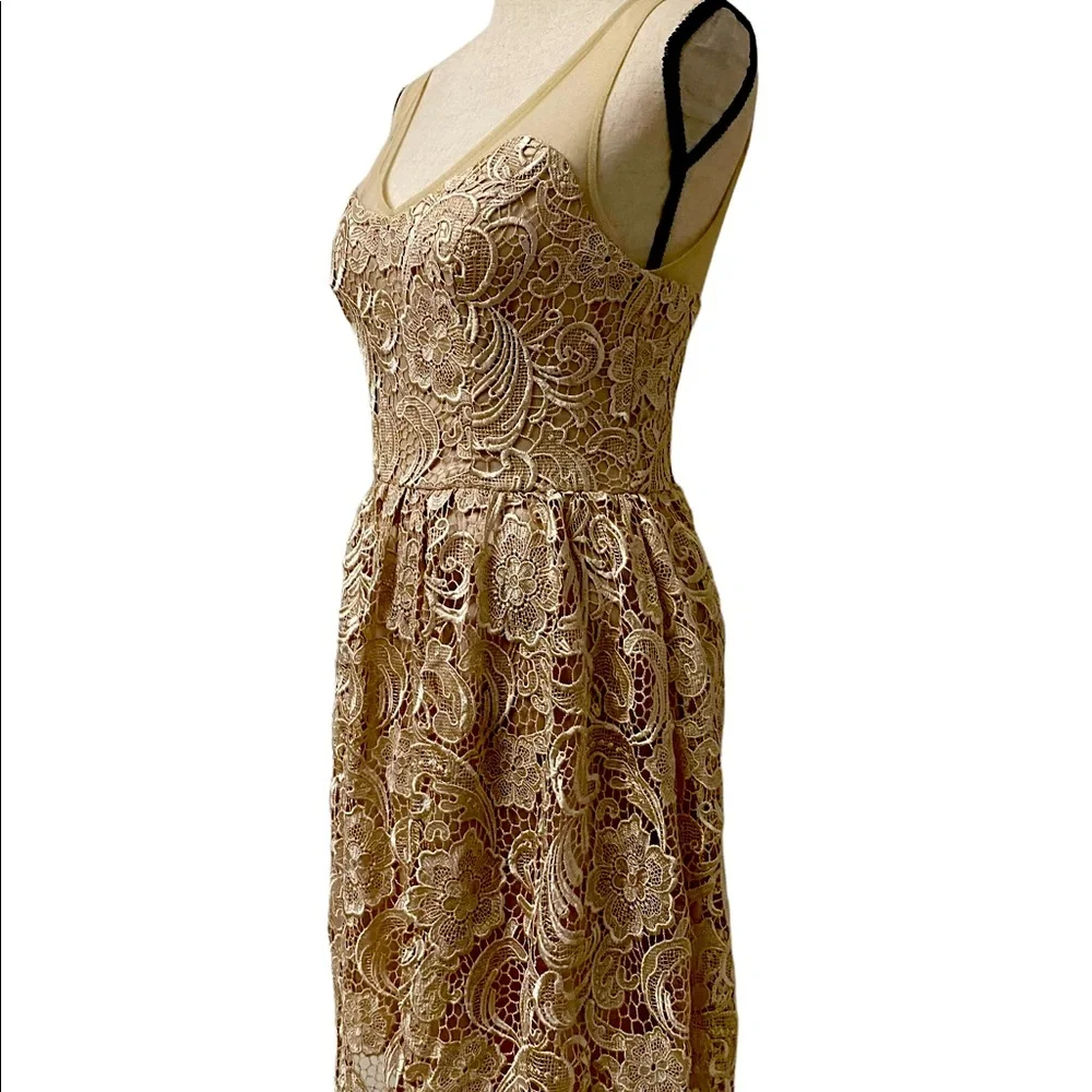 ADRIANNA PAPELL Lace Illusion Midi Size 4 - Picture 11 of 15